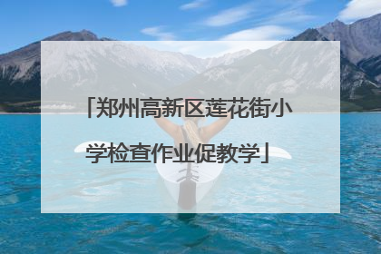 郑州高新区莲花街小学检查作业促教学