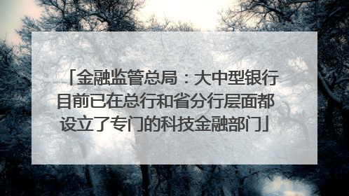 金融监管总局：大中型银行目前已在总行和省分行层面都设立了专门的科技金融部门