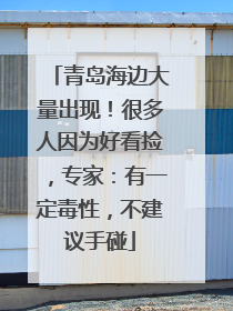 青岛海边大量出现！很多人因为好看捡，专家：有一定毒性，不建议手碰