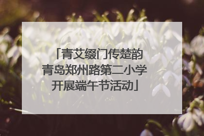 青艾缀门传楚韵 青岛郑州路第二小学开展端午节活动