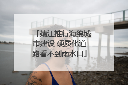 靖江推行海绵城市建设 硬质化道路看不到雨水口