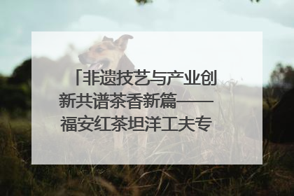 非遗技艺与产业创新共谱茶香新篇——福安红茶坦洋工夫专场推介会在京举办