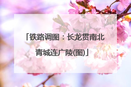 铁路调图：长龙贯南北 青城连广陵(图)