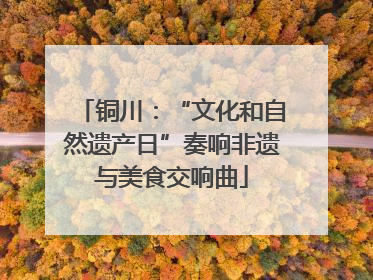 铜川：“文化和自然遗产日”奏响非遗与美食交响曲