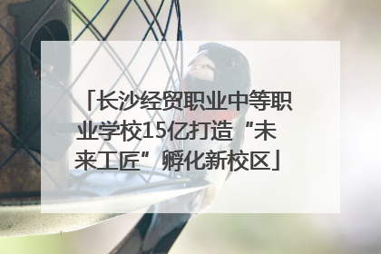 长沙经贸职业中等职业学校15亿打造“未来工匠”孵化新校区