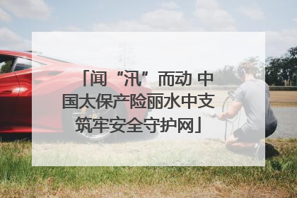 闻“汛”而动 中国太保产险丽水中支筑牢安全守护网