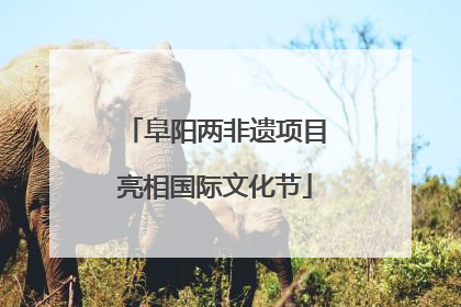 阜阳两非遗项目亮相国际文化节