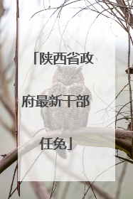 陕西省政府最新干部任免