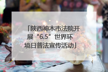 陕西神木市法院开展“6.5”世界环境日普法宣传活动