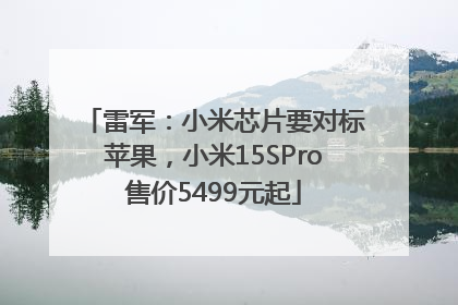 雷军：小米芯片要对标苹果，小米15SPro售价5499元起