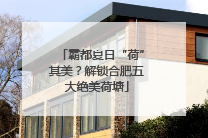 霸都夏日“荷”其美？解锁合肥五大绝美荷塘