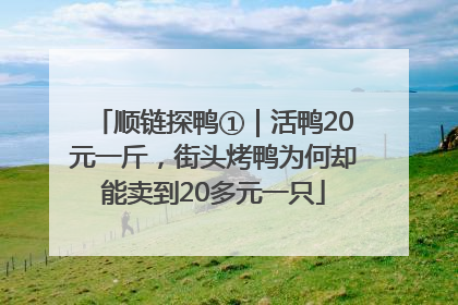 顺链探鸭①｜活鸭20元一斤，街头烤鸭为何却能卖到20多元一只
