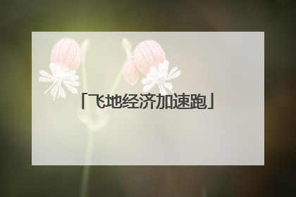 飞地经济加速跑