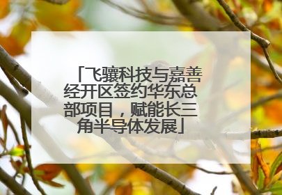 飞骧科技与嘉善经开区签约华东总部项目，赋能长三角半导体发展
