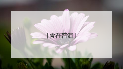 食在普洱