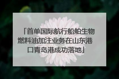 首单国际航行船舶生物燃料油加注业务在山东港口青岛港成功落地
