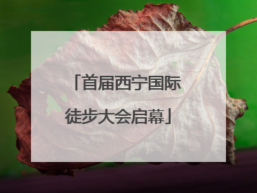 首届西宁国际徒步大会启幕