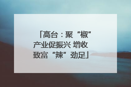 高台：聚“椒”产业促振兴 增收致富“辣”劲足