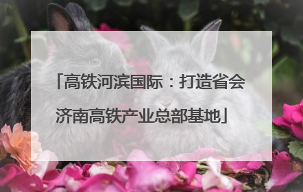 高铁河滨国际：打造省会济南高铁产业总部基地