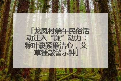 龙凤村端午民俗活动注入“廉”动力：粽叶裹紧廉洁心，艾草锤敲警示钟
