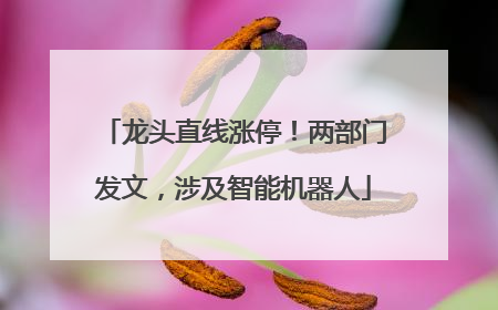龙头直线涨停！两部门发文，涉及智能机器人