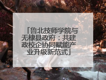 鲁北技师学院与无棣县政府：共建政校企协同赋能产业升级新范式