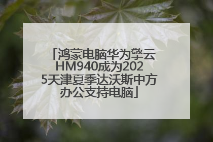 鸿蒙电脑华为擎云 HM940成为2025天津夏季达沃斯中方办公支持电脑