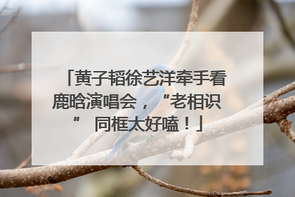黄子韬徐艺洋牵手看鹿晗演唱会，“老相识” 同框太好嗑！
