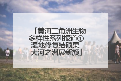 黄河三角洲生物多样性系列报道①湿地修复结硕果 大河之洲展新颜