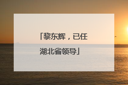黎东辉，已任湖北省领导