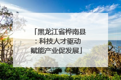 黑龙江省桦南县：科技人才驱动 赋能产业促发展