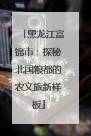 黑龙江富锦市：探秘北国粮都的农文旅新样板
