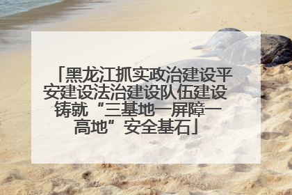 黑龙江抓实政治建设平安建设法治建设队伍建设 铸就“三基地一屏障一高地”安全基石