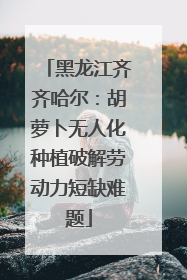 黑龙江齐齐哈尔：胡萝卜无人化种植破解劳动力短缺难题