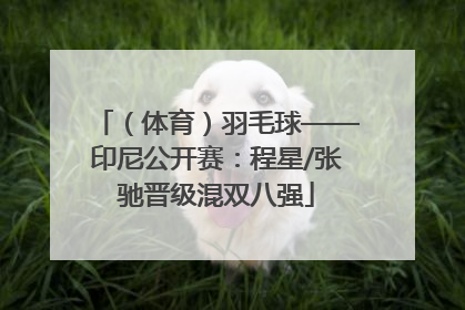 （体育）羽毛球——印尼公开赛：程星/张驰晋级混双八强