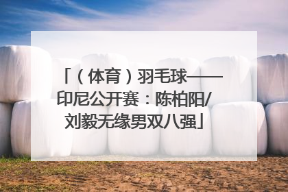 （体育）羽毛球——印尼公开赛：陈柏阳/刘毅无缘男双八强