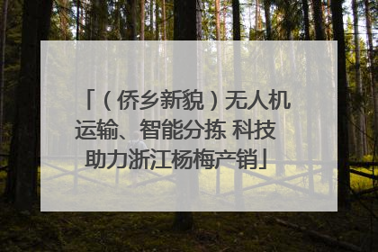 （侨乡新貌）无人机运输、智能分拣 科技助力浙江杨梅产销