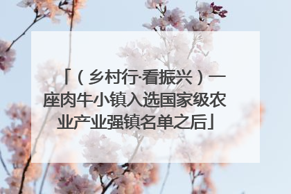 （乡村行·看振兴）一座肉牛小镇入选国家级农业产业强镇名单之后