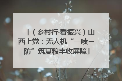 （乡村行·看振兴）山西上党：无人机“一喷三防”筑夏粮丰收屏障