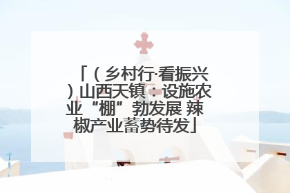 （乡村行·看振兴）山西天镇：设施农业“棚”勃发展 辣椒产业蓄势待发