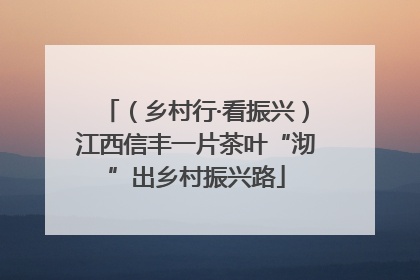（乡村行·看振兴）江西信丰一片茶叶“沏”出乡村振兴路