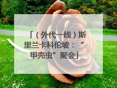 （外代一线）斯里兰卡科伦坡：“甲壳虫”聚会