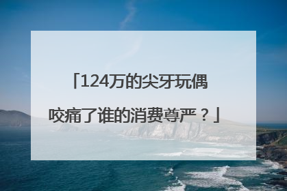 124万的尖牙玩偶 咬痛了谁的消费尊严？
