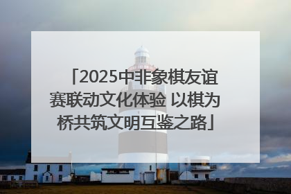 2025中非象棋友谊赛联动文化体验 以棋为桥共筑文明互鉴之路