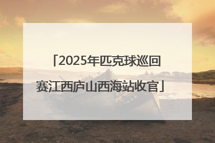 2025年匹克球巡回赛江西庐山西海站收官