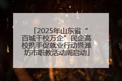 2025年山东省“百城千校万企”民企高校携手促就业行动暨潍坊市职教活动周启动