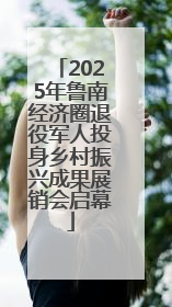 2025年鲁南经济圈退役军人投身乡村振兴成果展销会启幕