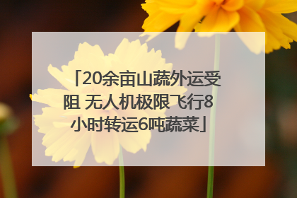 20余亩山蔬外运受阻 无人机极限飞行8小时转运6吨蔬菜