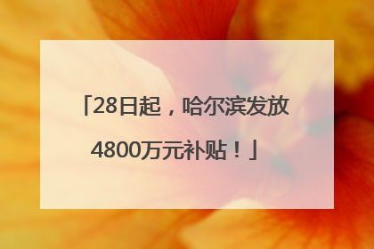 28日起，哈尔滨发放4800万元补贴！