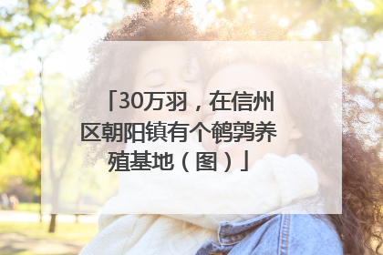 30万羽，在信州区朝阳镇有个鹌鹑养殖基地（图）